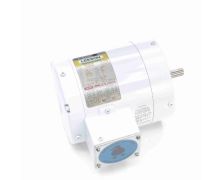 C6T17VC4H_White Epoxy General Purpose Washdown Motor 1