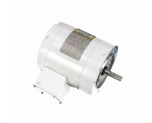 C6T17VC5H_White Epoxy General Purpose Washdown Motor 1