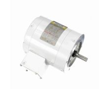 C6T17VC6G_White Epoxy General Purpose Washdown Motor 1