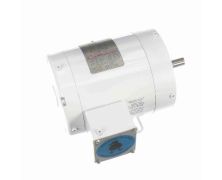 C6T17VK1H_White Epoxy General Purpose Washdown Motor 1