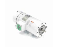 C6T17VK28B_White Epoxy Brake Washdown Motor