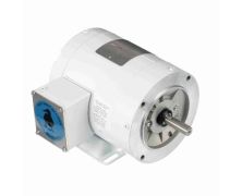 C6T17VK2G_White Epoxy General Purpose Washdown Motor 1