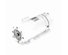 C6T17VK68B_White Epoxy Brake Washdown Motor 1