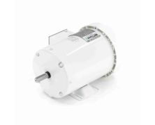 C6T17WB18A_White Epoxy General Purpose Washdown Motor 1
