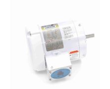 C6T17WB6G_White Epoxy General Purpose Washdown Motor 1