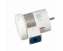 C6T17WC24C_White Epoxy General Purpose Washdown Motor 1