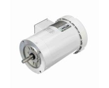 C6T17WC380A_White Epoxy General Purpose Washdown Motor 1