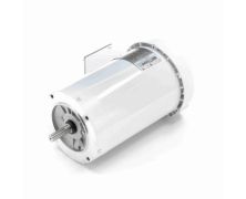 C6T17WC383A_White Epoxy General Purpose Washdown Motor 1