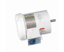 C6T17WK1J_White Epoxy General Purpose Washdown Motor 1
