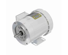 C6T17WK3J_White Epoxy (575 Volt) Washdown Motor 1