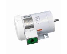C6T17WK44A_White Epoxy General Purpose Washdown Motor 1