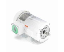 C6T17WK45A_White Epoxy General Purpose Washdown Motor 1