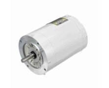 C6T34VC1J_White Epoxy General Purpose Washdown Motor 1