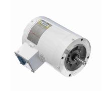 C6T34VC2J_White Epoxy General Purpose Washdown Motor 1