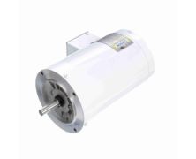 C6T34VC3J_White Epoxy General Purpose Washdown Motor 1