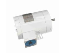 C6T34VK4H_White Epoxy General Purpose Washdown Motor 1