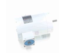 C6T34VK5H_White Epoxy General Purpose Washdown Motor 1
