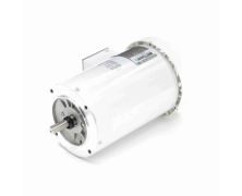 C6T34WC28A_White Epoxy General Purpose Washdown Motor 1