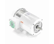 C6T34WK33A_White Epoxy General Purpose Washdown Motor 3