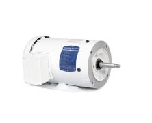 CJEWDM3555_56J Jet Pump Motor (Motors
