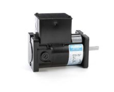 CM31D17NZ1E_DC Sub-Fractional Motor 1