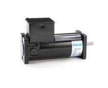 CM31D17NZ9F_DC Sub-Fractional Motor