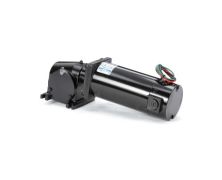 CM34D25NZ12C_DC Right Angle Gearmotor 1