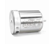 CZ4T17VC7A_Premium_Stainless_Washdown_Motor 1