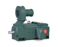 D50125RS-BV_DC RPM III Motor