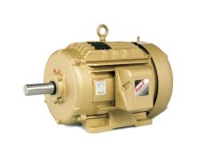 Baldor EFM4104T - General Purpose Motor