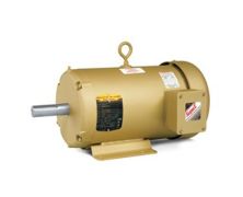 Baldor EFM3615T - General Purpose Motor