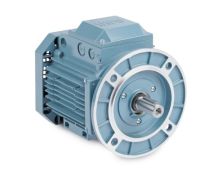 EMVM10036D-PP_Process Performance Motor