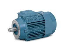 EMVM13554C-PP_Process Performance Motor