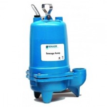 Why You May Need a Goulds Sewage Pump