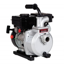 Red Lion 617031 Model 2RLAG-1L Transfer Pump Buyers Guide & Review