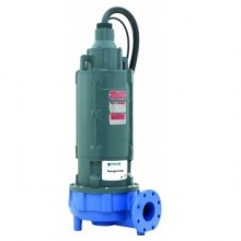 Goulds 4NS Series Sewage Pumps Buyers Guide & Review