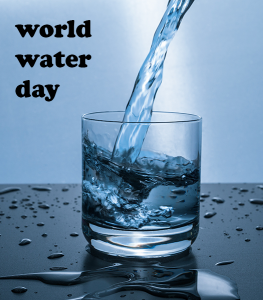 PumpProducts.com Celebrates Clean Water Initiatives for World Water Day