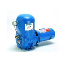 Goulds BF03S Shallow Well Jet Pumps Buyers Guide & Review