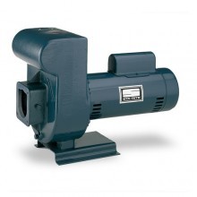 Sta-Rite D Series Lawn & Irrigation Pumps Buyers Guide & Review
