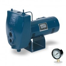 Sta-Rite ProJet HL Series Convertible Jet Pumps Buyers Guide & Review