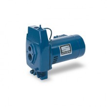 Sta-Rite FL Series Convertible Jet Pumps Buyers Guide & Review