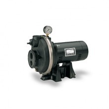 Sta-Rite PL Series Convertible Jet Pumps Buyers Guide & Review