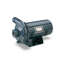 Sta-Rite J/JB Series Lawn and Irrigation Pumps Buyers Guide & Review