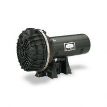 Sta-Rite PD Series Lawn/Irrigation Pumps Buyers Guide & Review