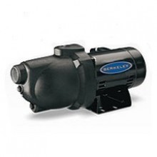 Berkeley PN Series Shallow Well Jet Pumps Buyers Guide & Review