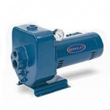 Berkeley LT2 Series Convertible Jet Pumps Buyers Guide & Review