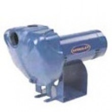 Berkeley LTHH Series Centrifugal Pumps Buyers Guide & Review