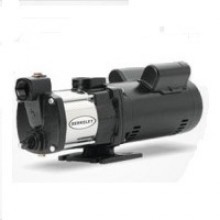 Berkeley SSHM-2 Series Centrifugal Pumps Buyers Guide & Review