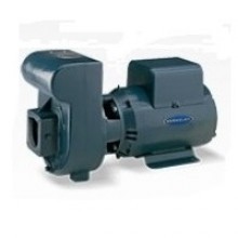 Berkeley LTH/LTM Series Lawn/Irrigation Pumps Buyers Guide & Review
