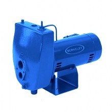 Berkeley SL Projet Series Convertible Jet Pumps Buyers Guide & Review